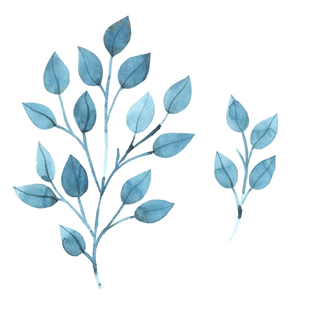 Aquarel takken met blauwe bladeren