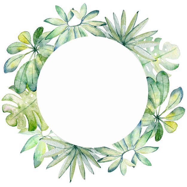 Aquarel tropisch frame met groene bladeren