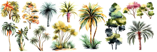 Aquarel tropische bomen set Palmboom in groene kleur geïsoleerd op witte achtergrond