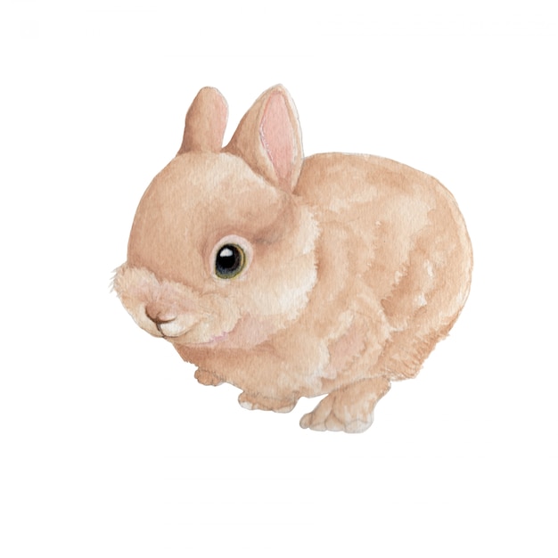Foto aquarel van een konijntje