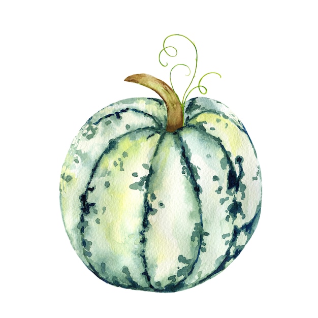 Aquarel van pompoenen