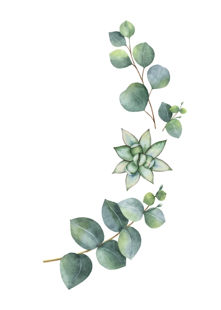 Foto aquarel vector krans met eucalyptus bladeren en vetplanten