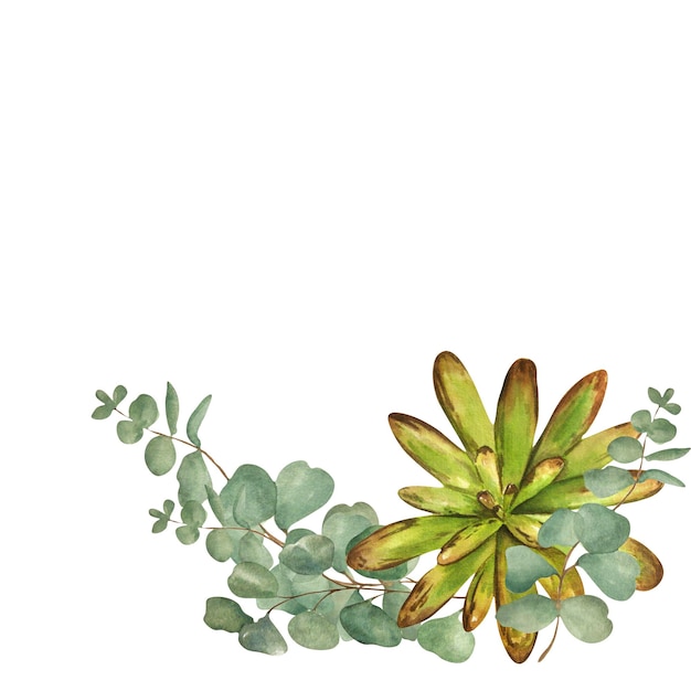 Aquarel werk met cactussen en vetplanten op een witte achtergrond. Rasterwerk.