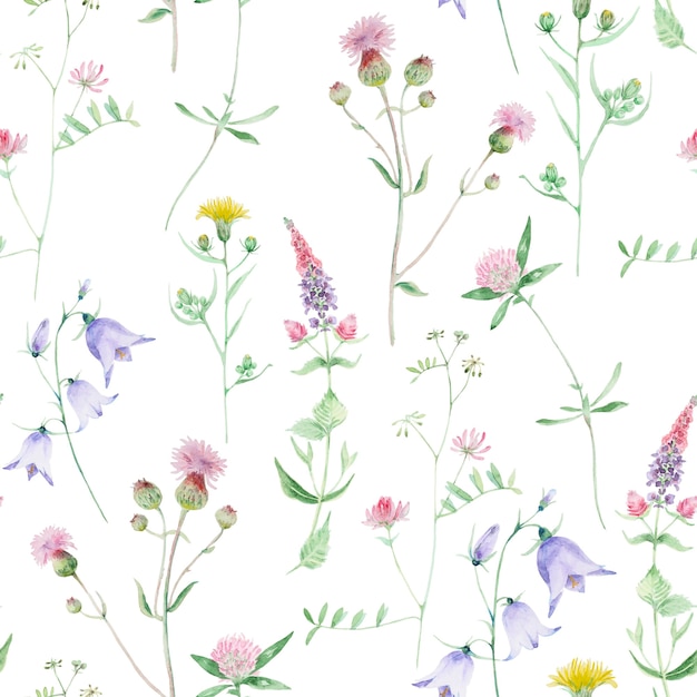 Aquarel wildflower naadloze patroon. Klaver en bel wilde bloemen. Floral hand getrokken textuur geïsoleerd op een witte achtergrond.