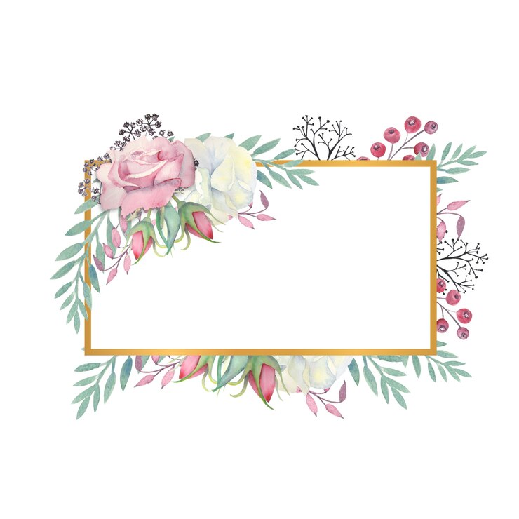 Foto aquarel witte en roze rozen bloemen
