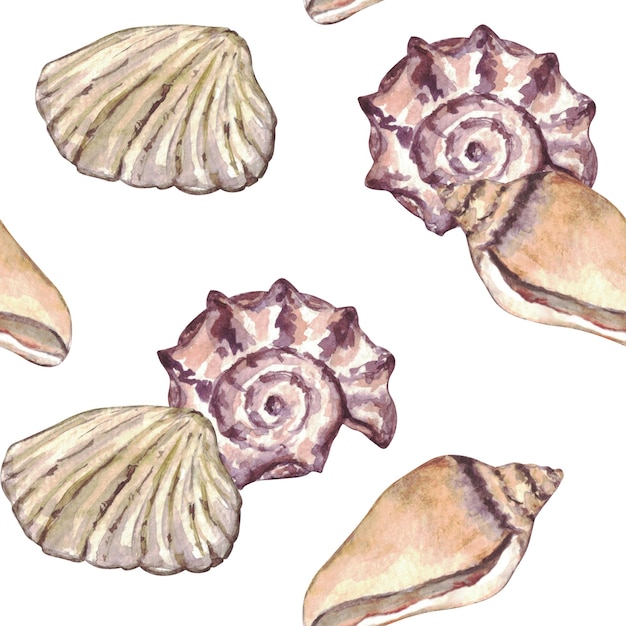 Aquarel zee shell naadloze patroon Hand getekende schelpen textuur vintage oceaan achtergrond