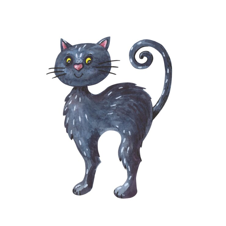 Foto aquarel zwarte kat halloween illustratie van schattige dieren op wit