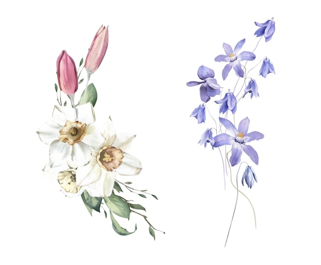 Aquarelboeketten met narcissen Tulpen en viooltjes Perfect voor uitnodigingen en sociale media