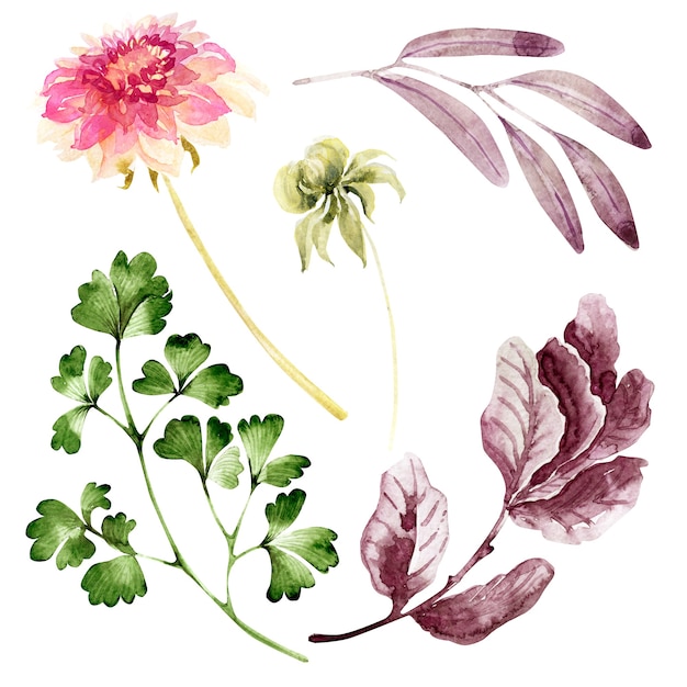 Aquarelcompositie met handgetekende bloemen en bladeren