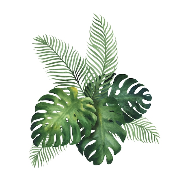 Foto aquarelillustratie van een tropisch boeket met monstera en palmbladeren groene tropische plant met de hand getekend geïsoleerd