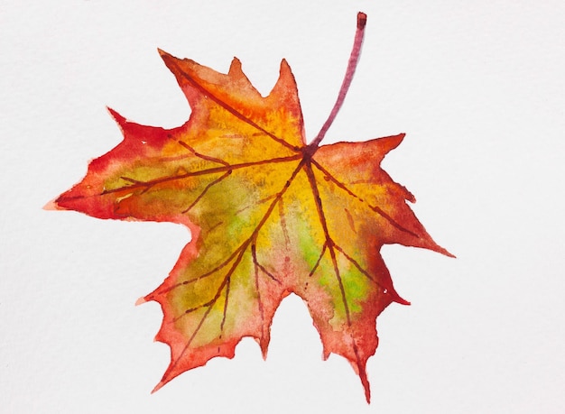 Aquarelillustratie van gele en rode herfstbladeren