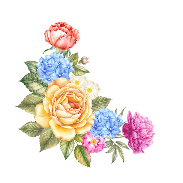 Aquarelle flowers on watercolor isolated