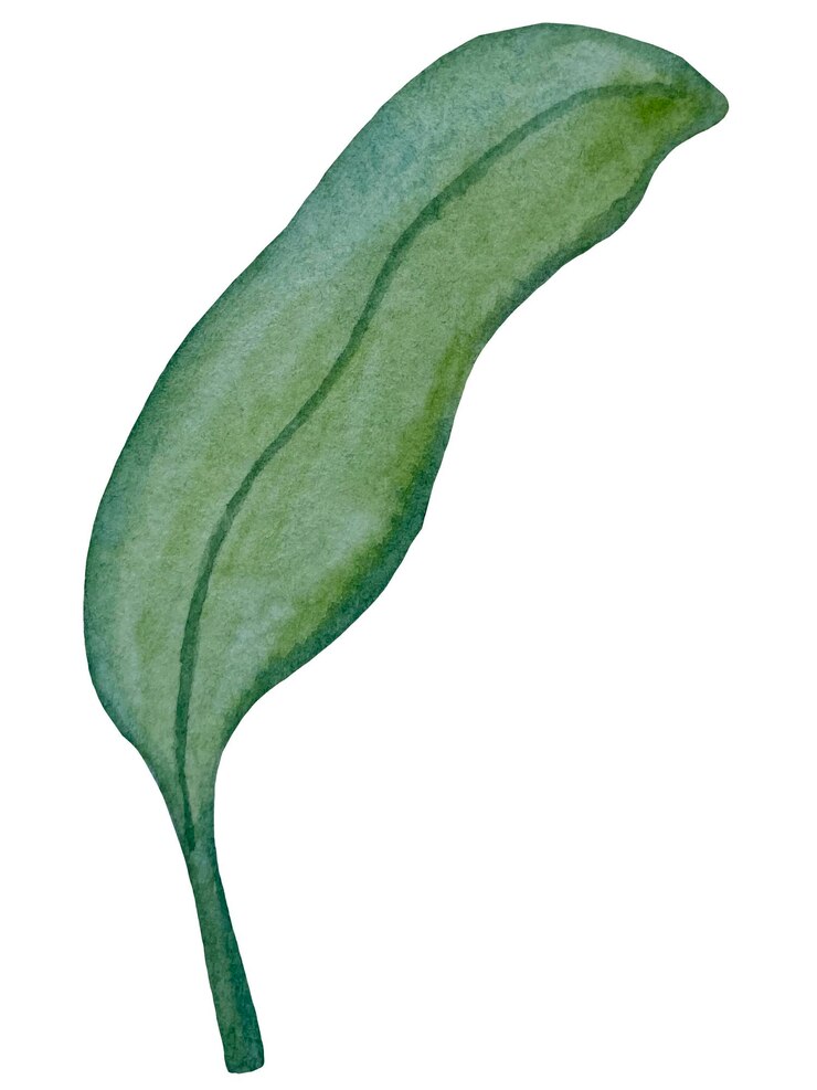 Foto aquarellecollectie van met de hand getekende eucalyptusbladeren en gele wilde bloemen botanische clipart