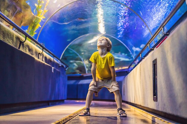 Aquarium and boy visit in oceanarium underwater tunnel and kid wildlife underwater indoor nature aquatic fish tortoise