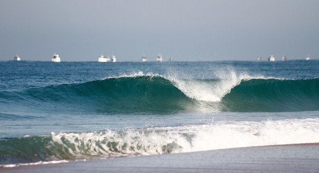 aquatic photo. big wave seen from below