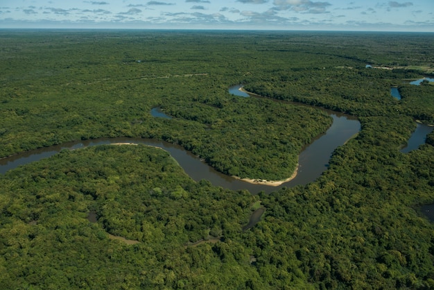 사진 aquidauana, mato grosso do sul, 브라질 : 브라질 습지에서 리오 네그로 (블랙 리버)의 항공보기, pantanal