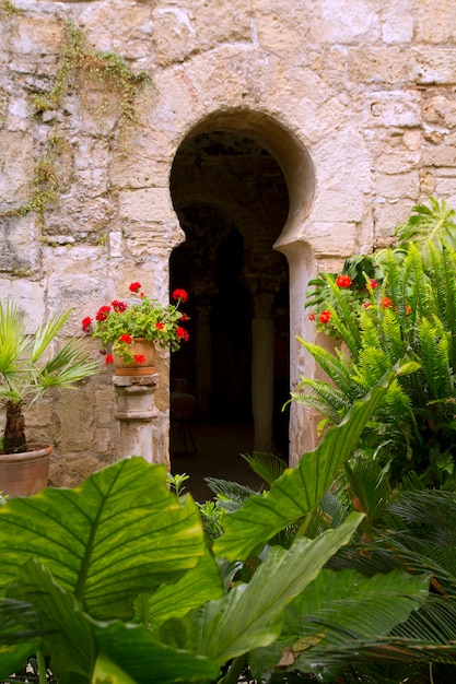 Arab baths in Majorca old city of Barrio Calatrava Los Patios