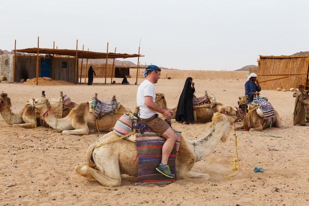 Arab boy rolls tourists on a camel.