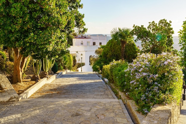 Foto giardini arabi con strade per passeggiare nel bellissimo villaggio bianco di medina sidonia cadice