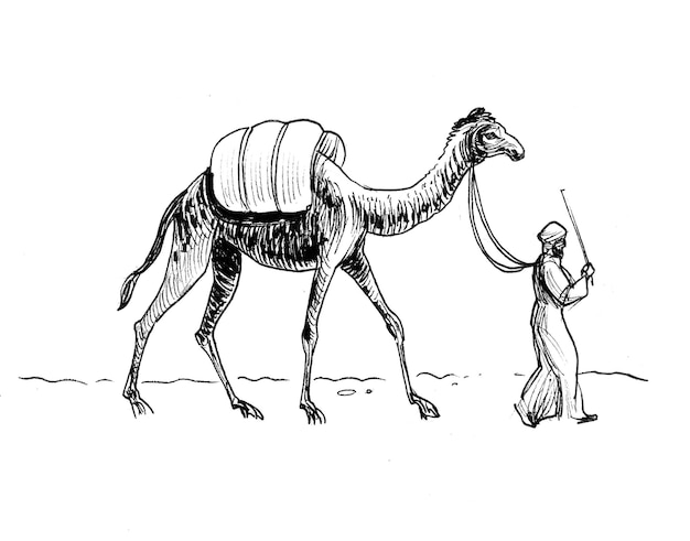 Arab merchant with a camel. Ink black and white drawing