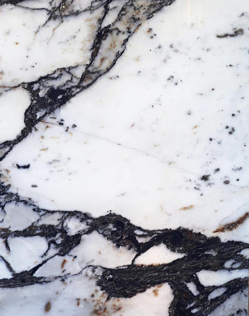 arabescato black and white marble texture