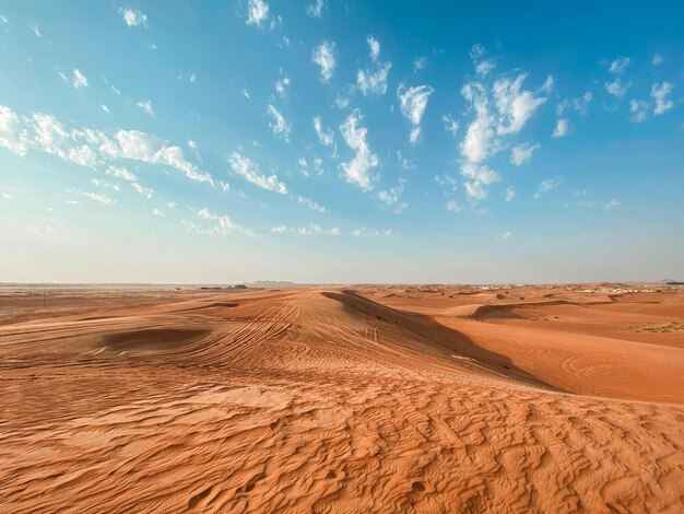 arabian desert