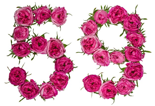 사진 아랍 숫자 5959는  ⁇ 색 바탕에 고립 된 장미의 빨간 꽃에서 나온 숫자입니다.