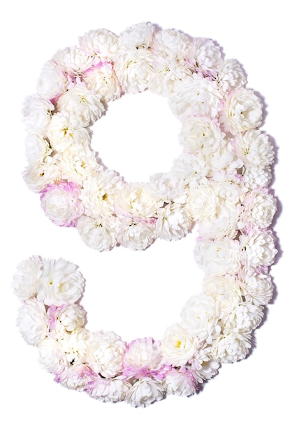 Arabic numerals from white chrysanthemums