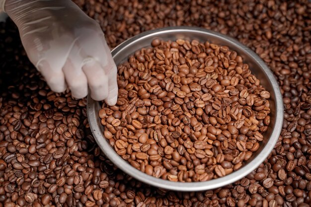 Chicchi di caffè arabica tostati, cotti e graduati