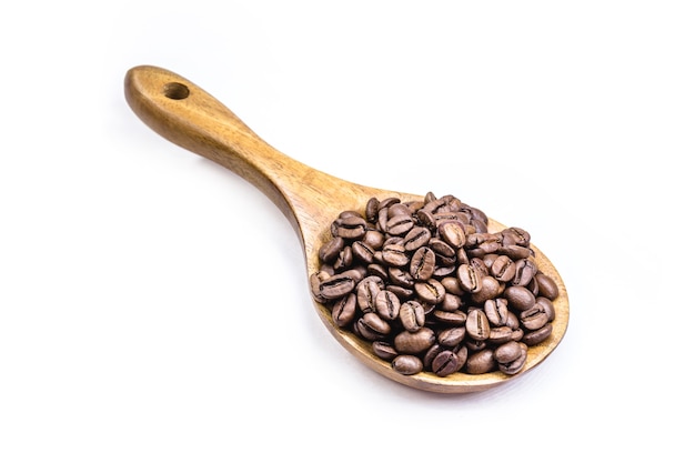 Arabica coffee in brazilian wooden spoon, coffee seeds with copy space