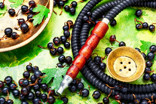 Arabië shisha met zwarte bes