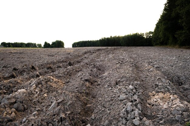 The arable field is ready for spring agricultural work plowed black soil