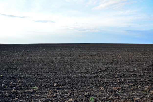 地平線上に黒い土と青い空を持つ耕地コピースペース