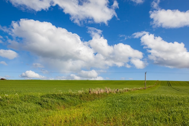 Arable landscape near Drumderfit, Black Isle in Scotland