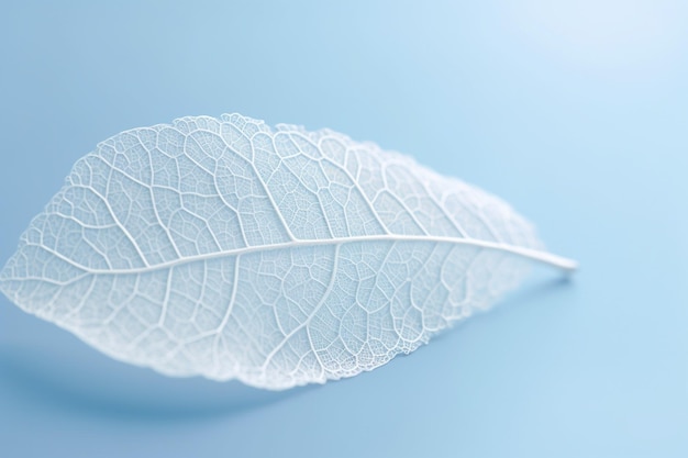 Arafed blad op een blauw oppervlak met een witte achtergrond generatieve ai
