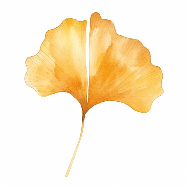 Photo arafed image of a ging leaf on a white background generative ai