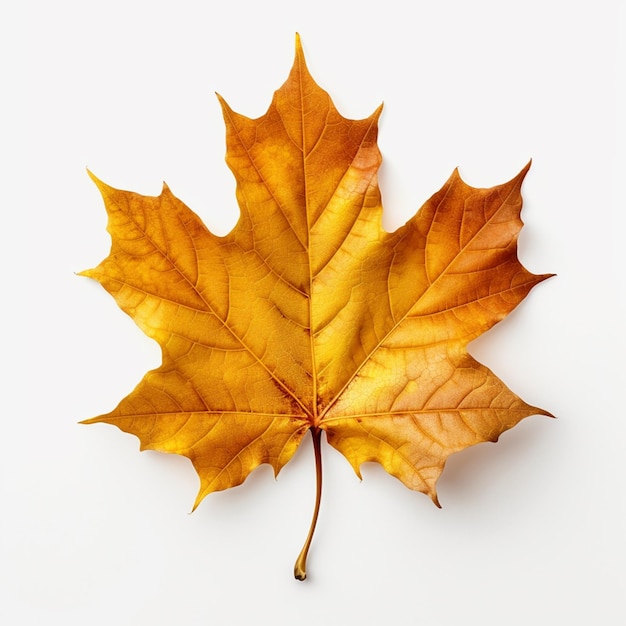 Arafed leaf on a white surface with a yellow center generative ai