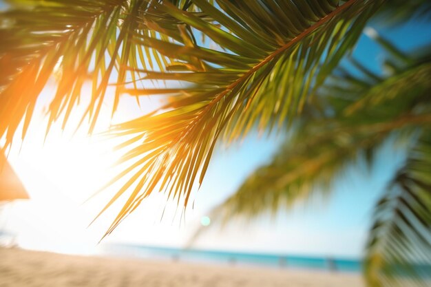 Araffe palm tree leaves on a beach with the sun shining through the leaves generative ai