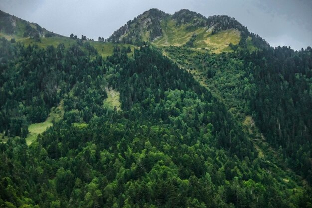 Photo aran valley spain forests rivers waterfalls mountains