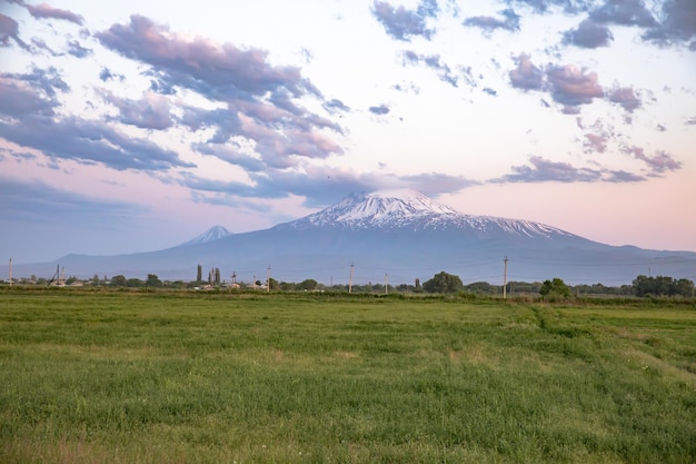 Ararat berg met veld