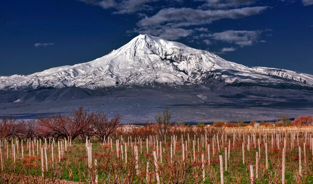 Ararat in de wolken en de wijngaard