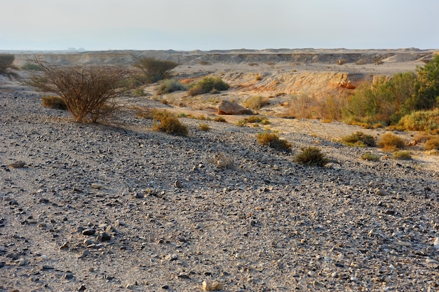 Фото Пустыня арава в первых лучах солнца