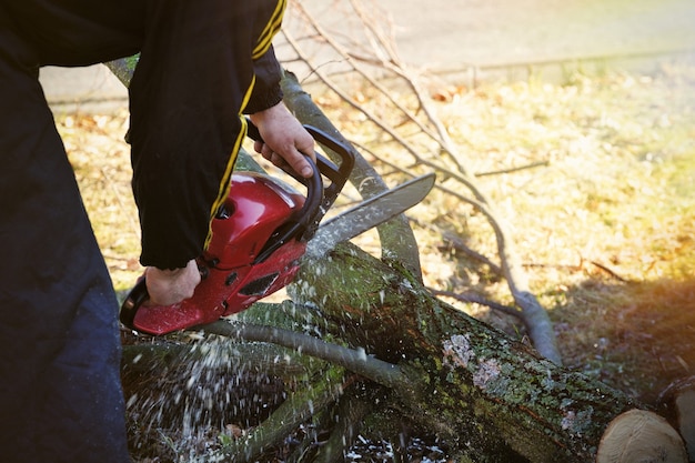 Arbeider die hout snijdt met een kettingzaag.