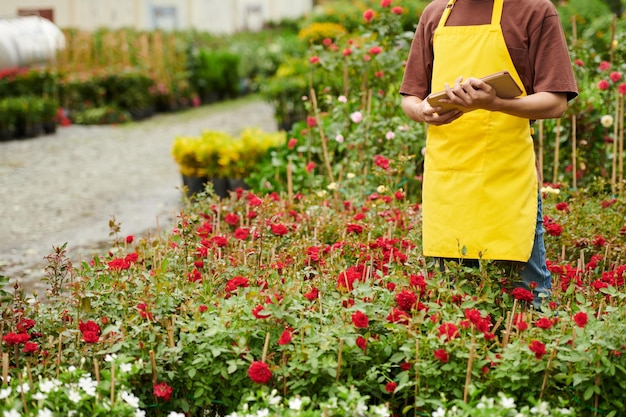 Arbeider die tussen bloeiende planten loopt