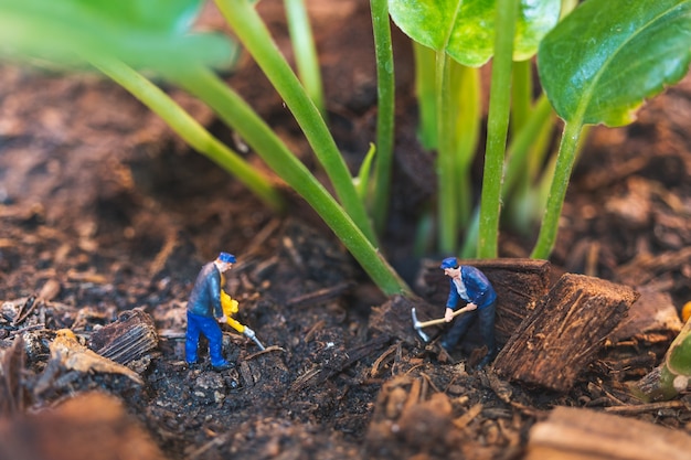 Arbeidersteam die met boom werken