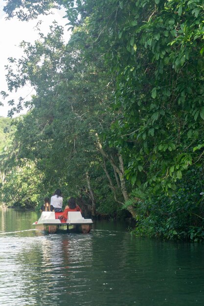 Arboleda Matanzas, yumuri river boat ride, images from all over the place