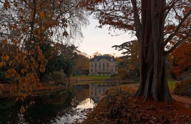 Arboretum of Wolves valley during the autumn Chatenay Malabry France