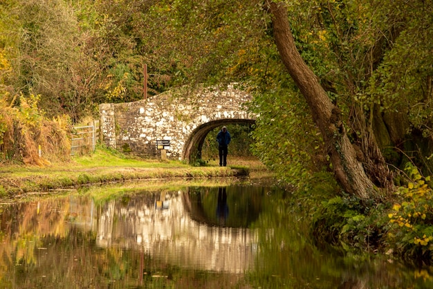 Arch bridge over lake against trees