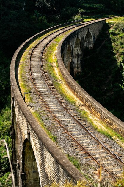 Photo arch bridge over railroad tracks by trees