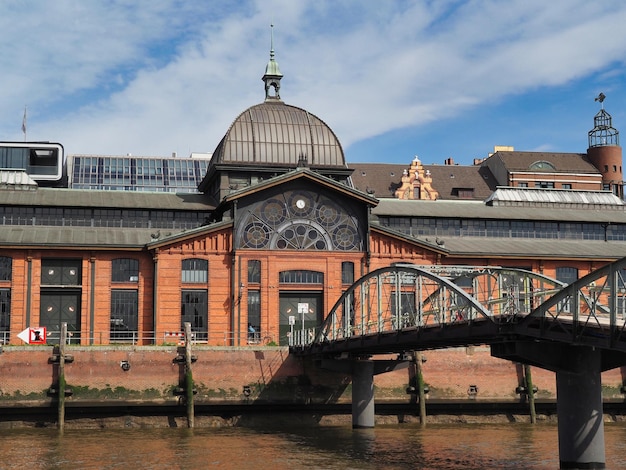 Foto ponte ad arco sul fiume contro gli edifici della città